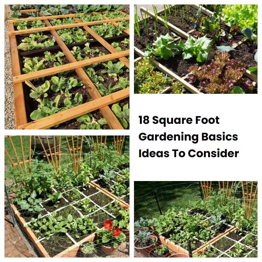 18 Square Foot Gardening Basics Ideas To Consider | SharonSable