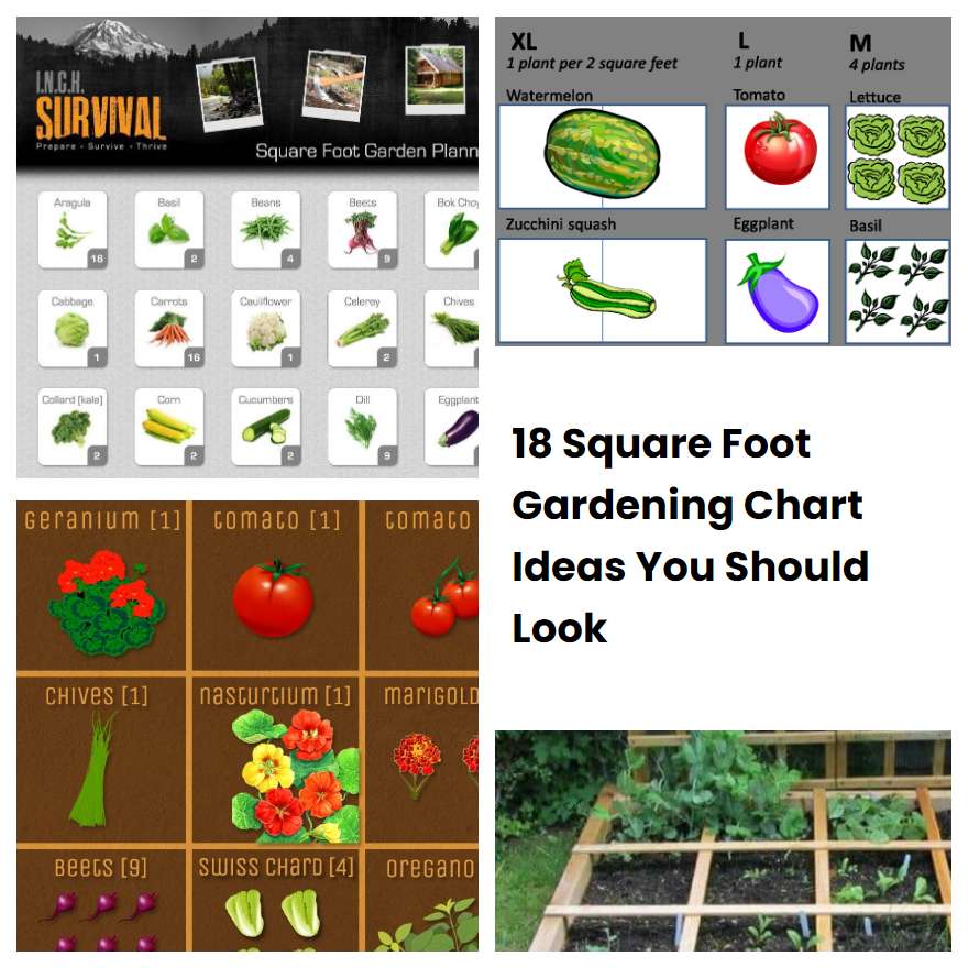 18 Square Foot Gardening Chart Ideas You Should Look | SharonSable