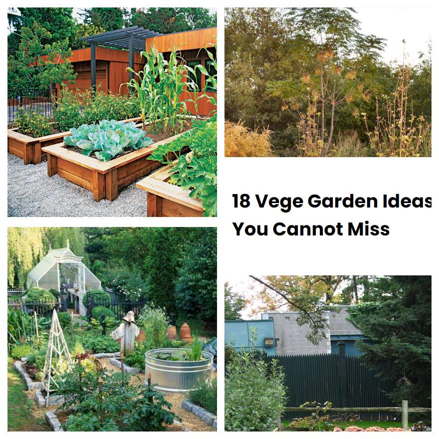 18 Vege Garden Ideas You Cannot Miss Sharonsable