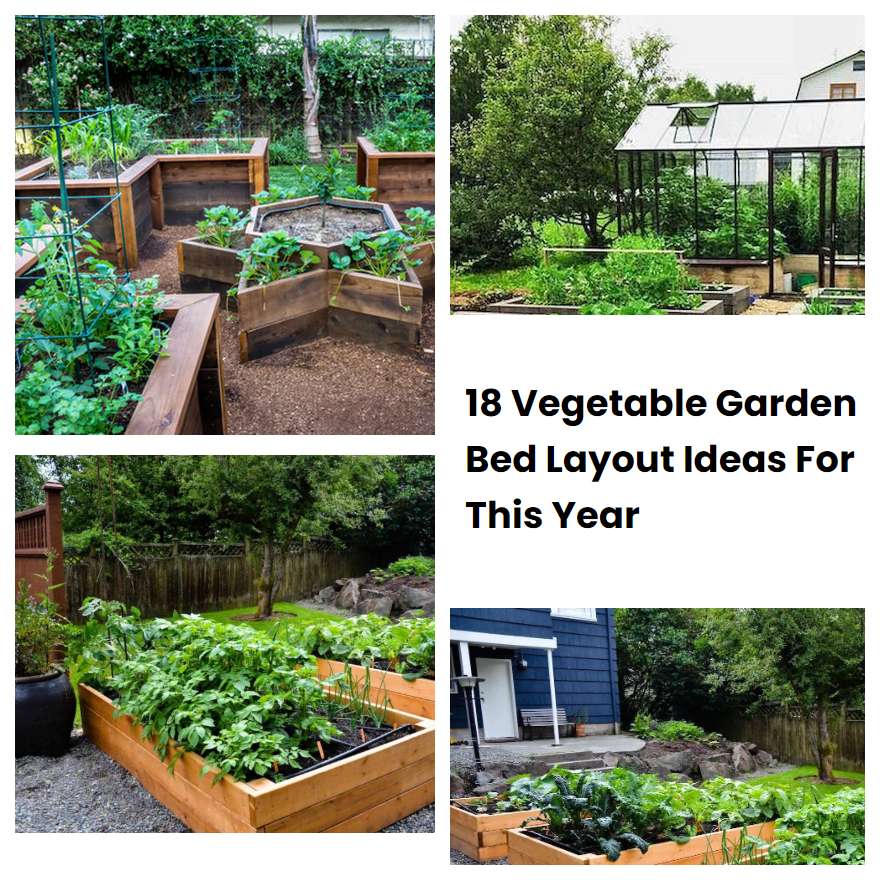 18 Vegetable Garden Bed Layout Ideas For This Year | SharonSable