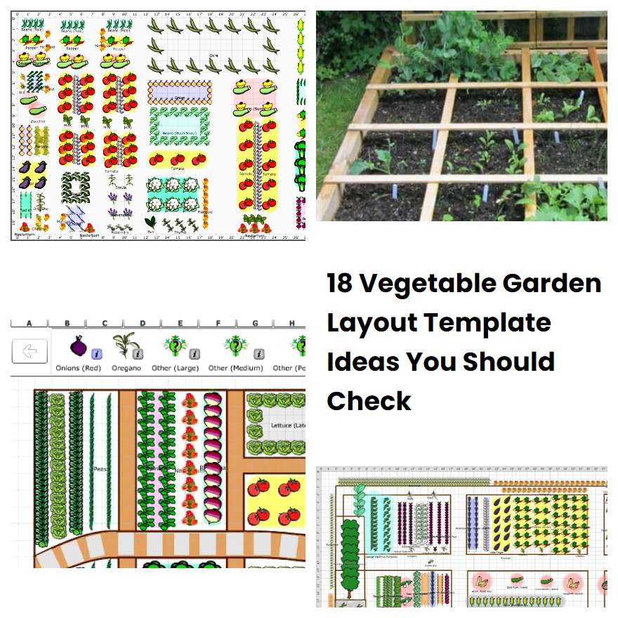 18 Vegetable Garden Layout Template Ideas You Should Check | SharonSable