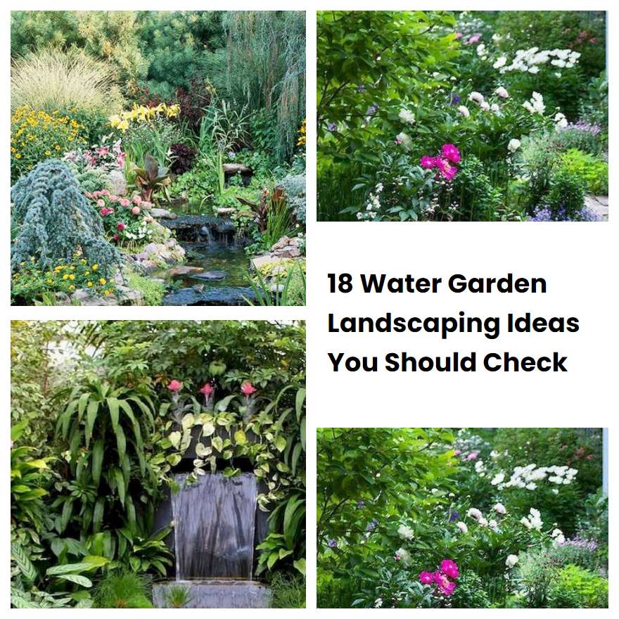 18 Water Garden Landscaping Ideas You Should Check | SharonSable