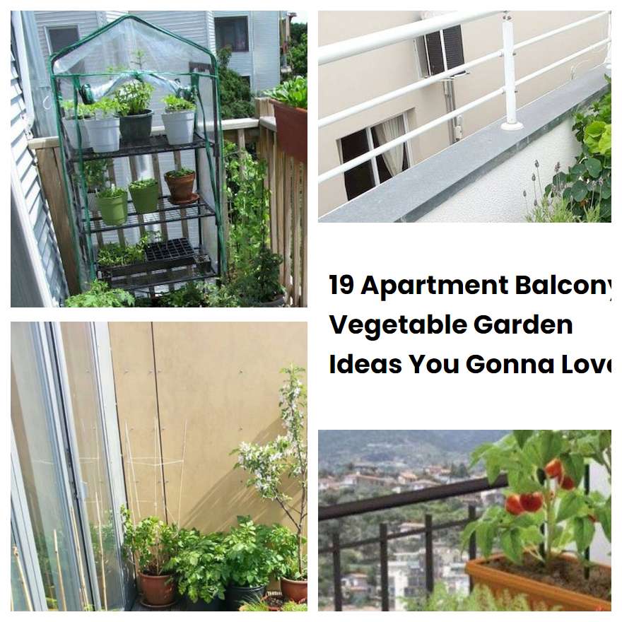 Balcony Vegetable Garden Ideas for Small Apartments