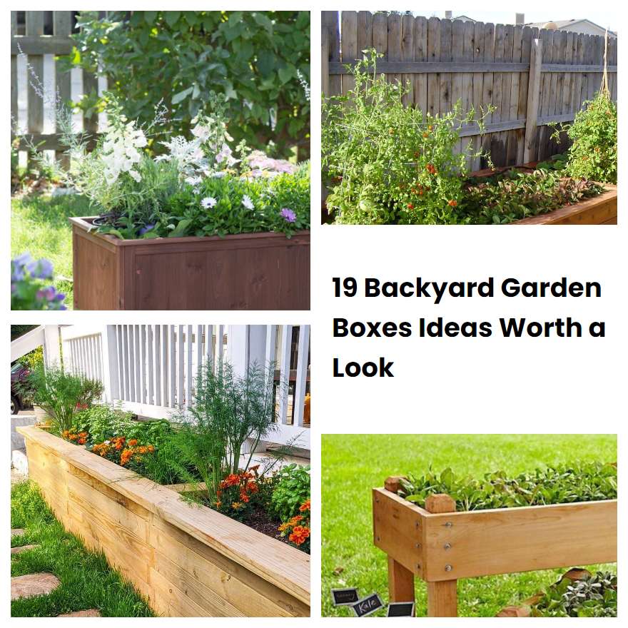 19 Backyard Garden Boxes Ideas Worth a Look | SharonSable