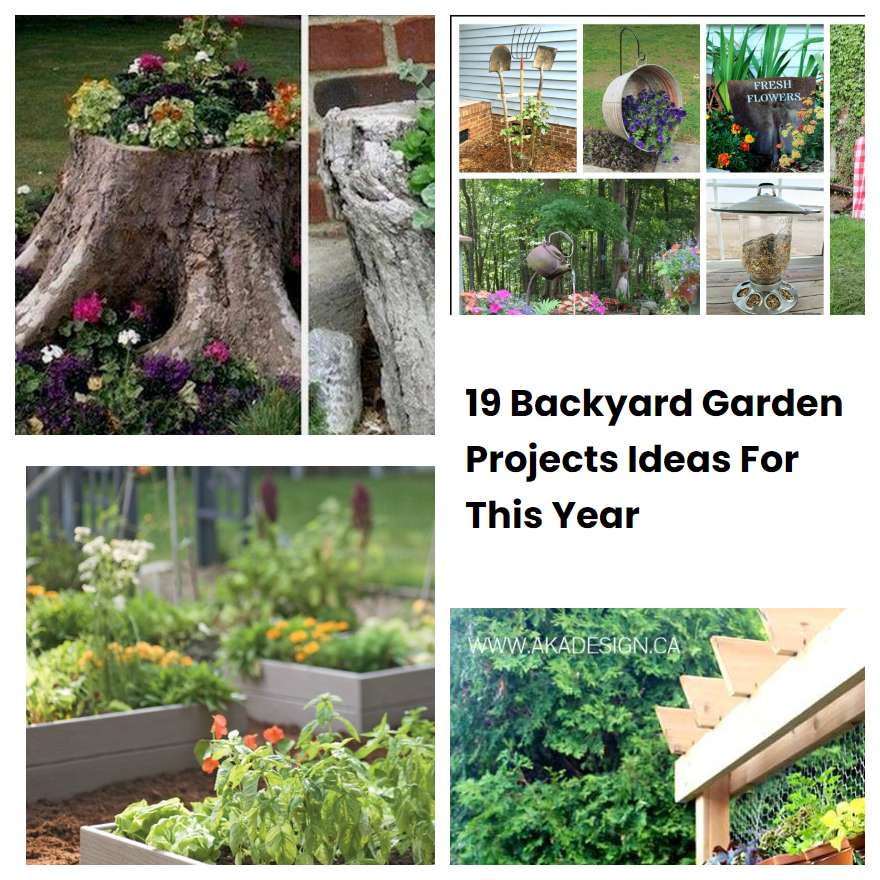 19 Backyard Garden Projects Ideas For This Year