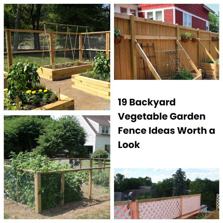 19 Backyard Vegetable Garden Fence Ideas Worth a Look | SharonSable