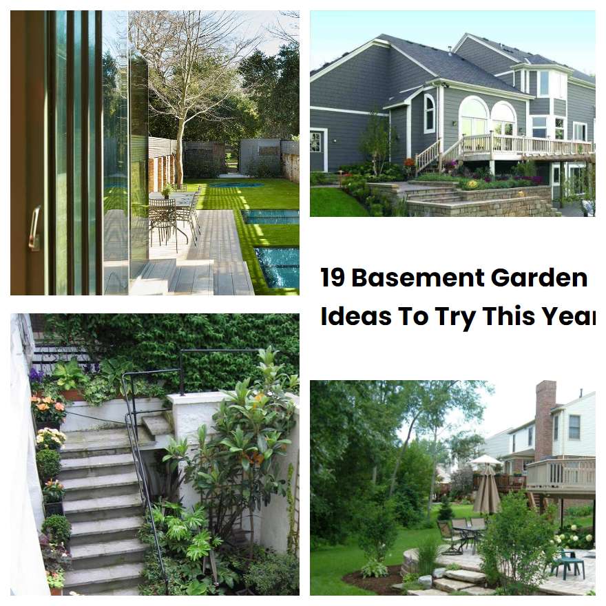 19 Basement Garden Ideas To Try This Year | SharonSable