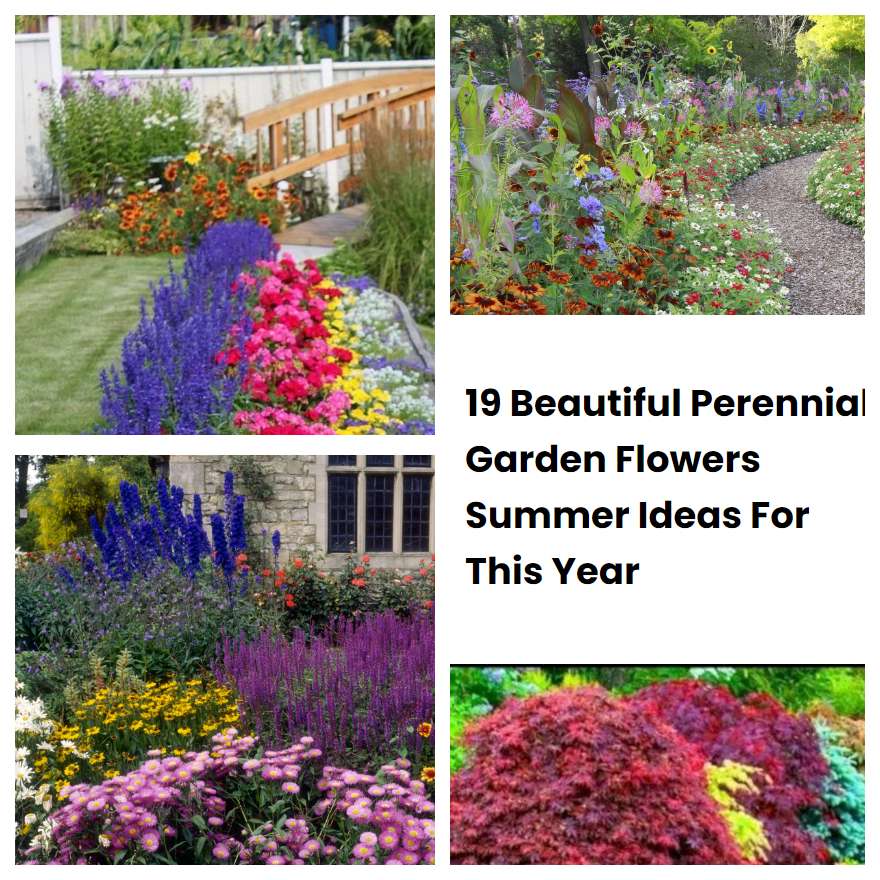 19 Beautiful Perennial Garden Flowers Summer Ideas For This Year ...