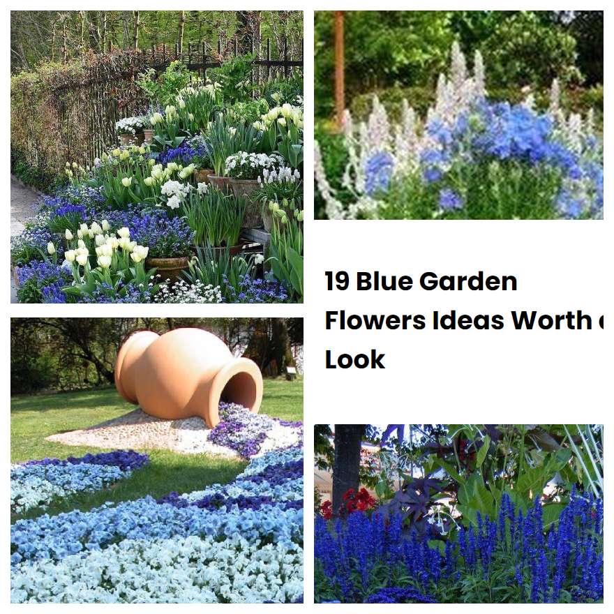 19 Blue Garden Flowers Ideas Worth a Look | SharonSable