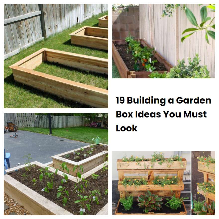 19 Building a Garden Box Ideas You Must Look | SharonSable