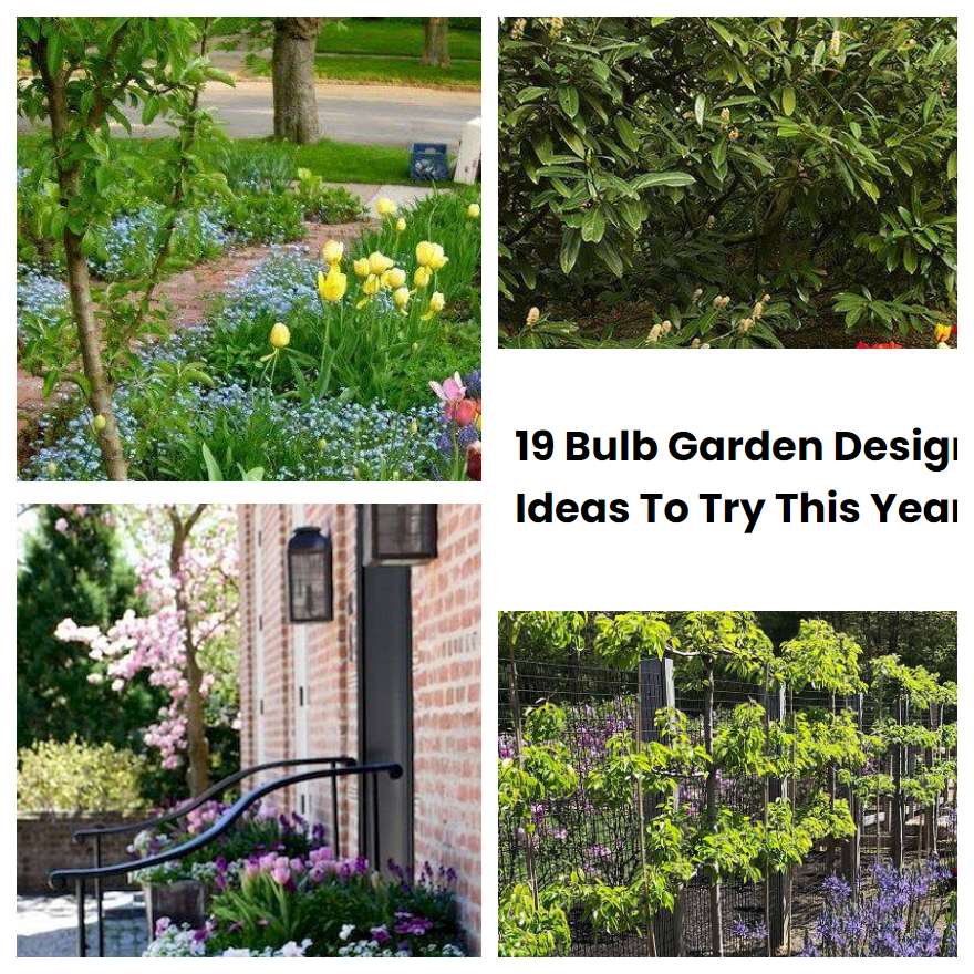 19 Bulb Garden Design Ideas To Try This Year | SharonSable