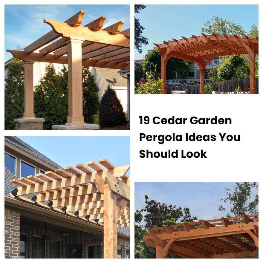 19 Cedar Garden Pergola Ideas You Should Look | SharonSable