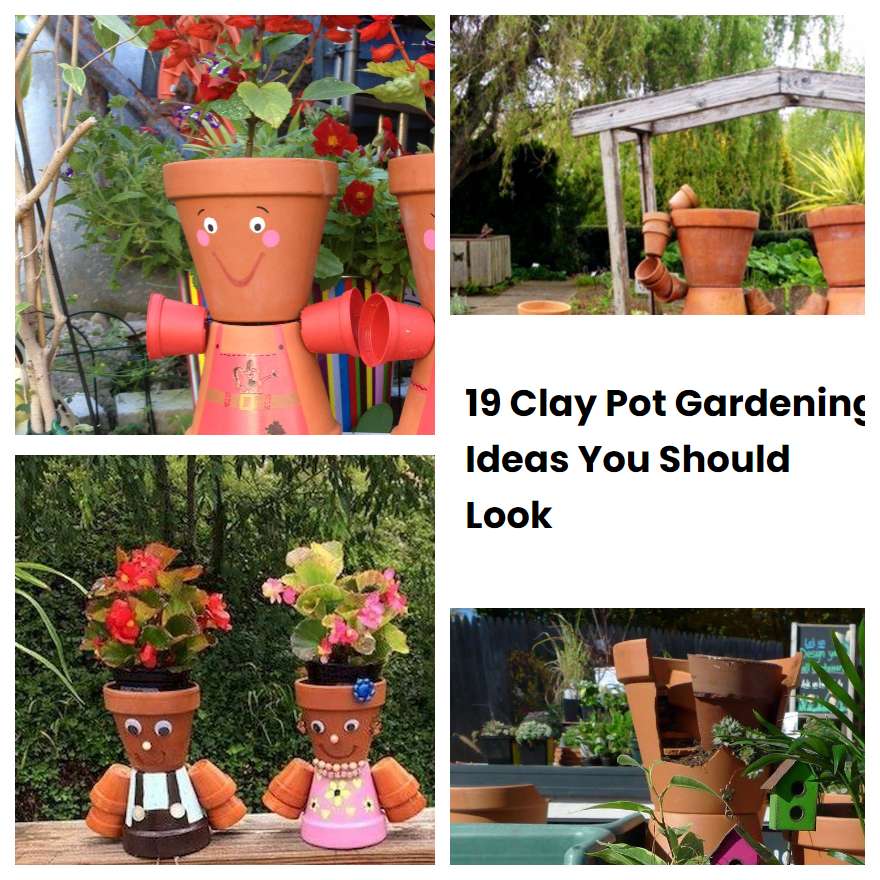 19 Clay Pot Gardening Ideas You Should Look | SharonSable