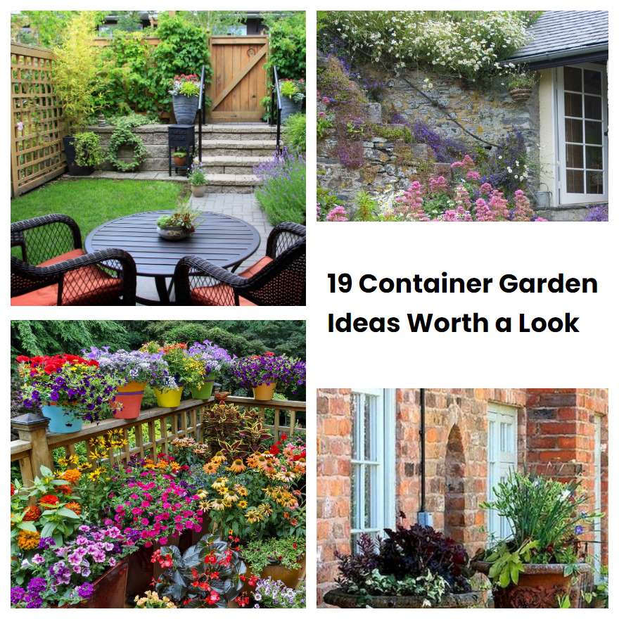 19 Container Garden Ideas Worth A Look | SharonSable