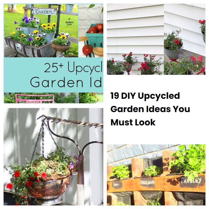 19 DIY Upcycled Garden Ideas You Must Look | SharonSable