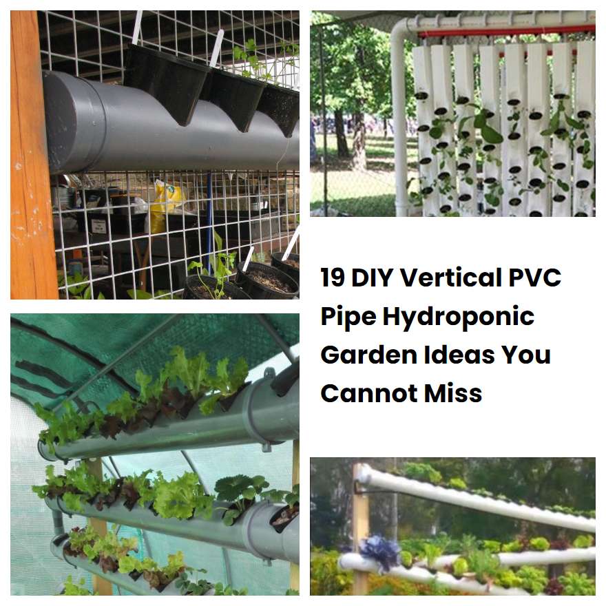 19 DIY Vertical PVC Pipe Hydroponic Garden Ideas You Cannot Miss ...