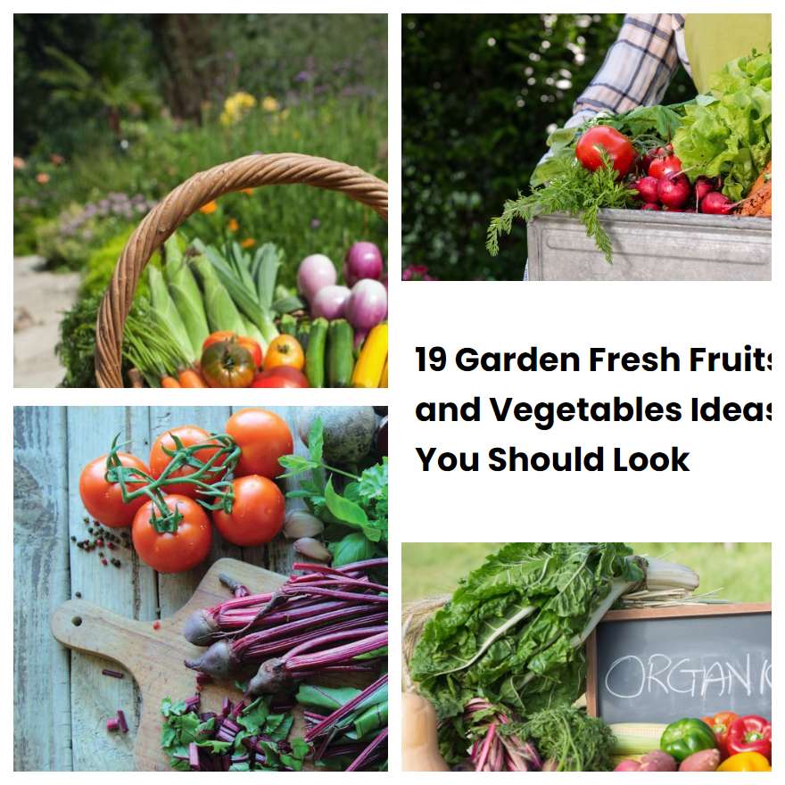 19 Garden Fresh Fruits and Vegetables Ideas You Should Look | SharonSable