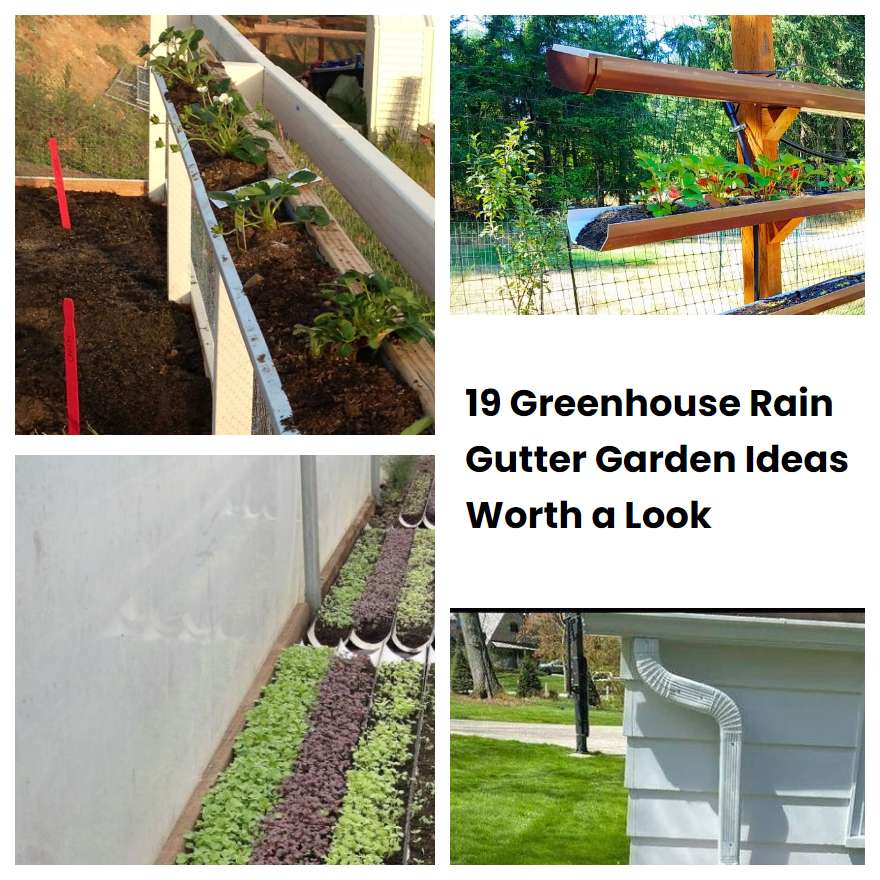 19 Greenhouse Rain Gutter Garden Ideas Worth a Look