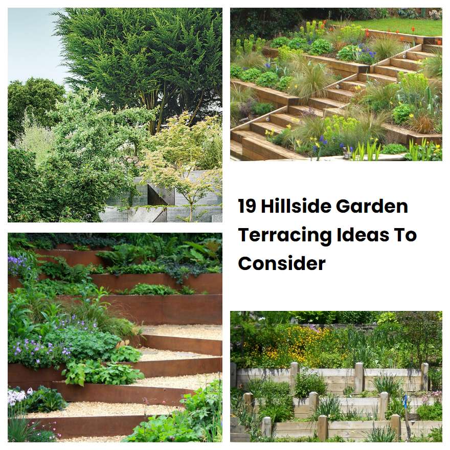 19 Hillside Garden Terracing Ideas To Consider | SharonSable