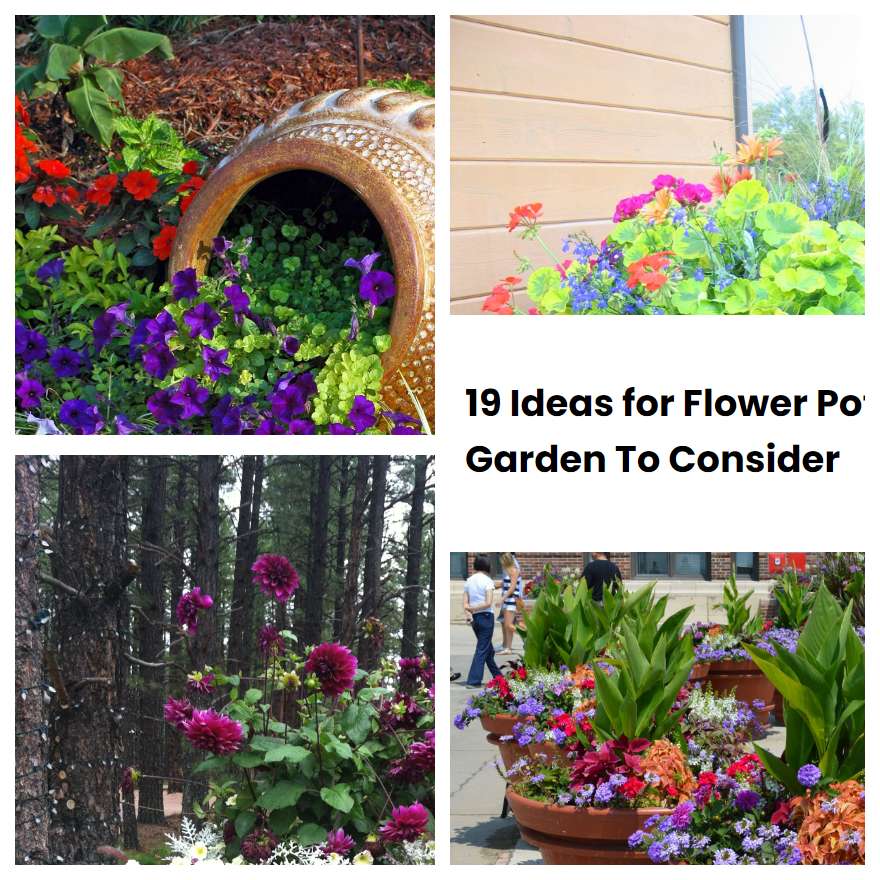 19 Ideas for Flower Pot Garden To Consider