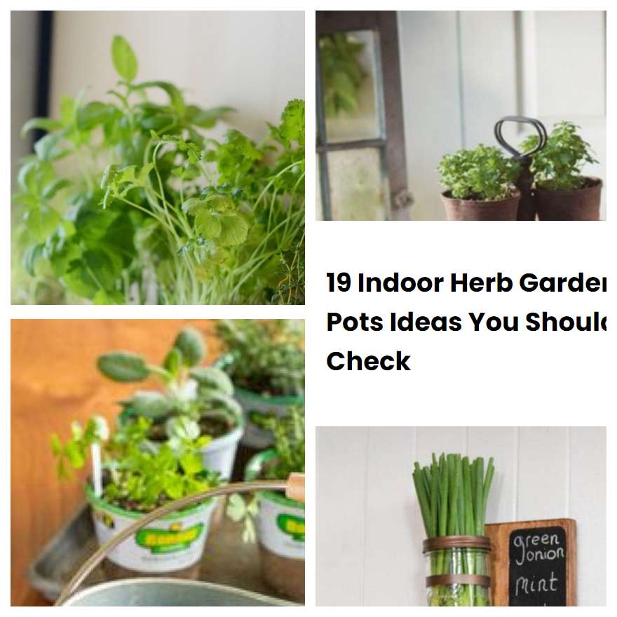 19 Indoor Herb Garden Pots Ideas You Should Check | SharonSable