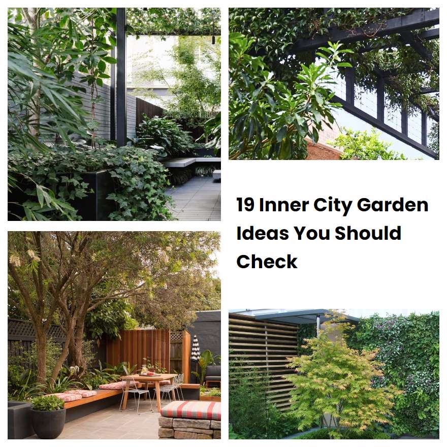 Inner City Garden Ideas You Should Check Sharonsable