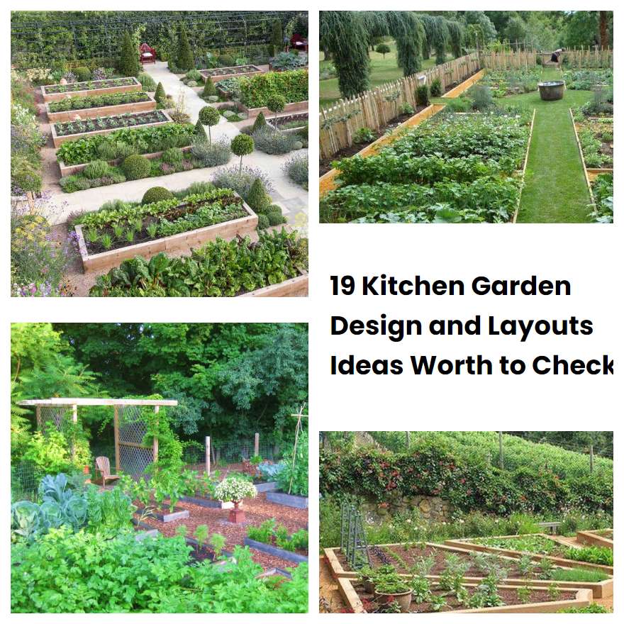 19 Kitchen Garden Design And Layouts Ideas Worth To Check | SharonSable