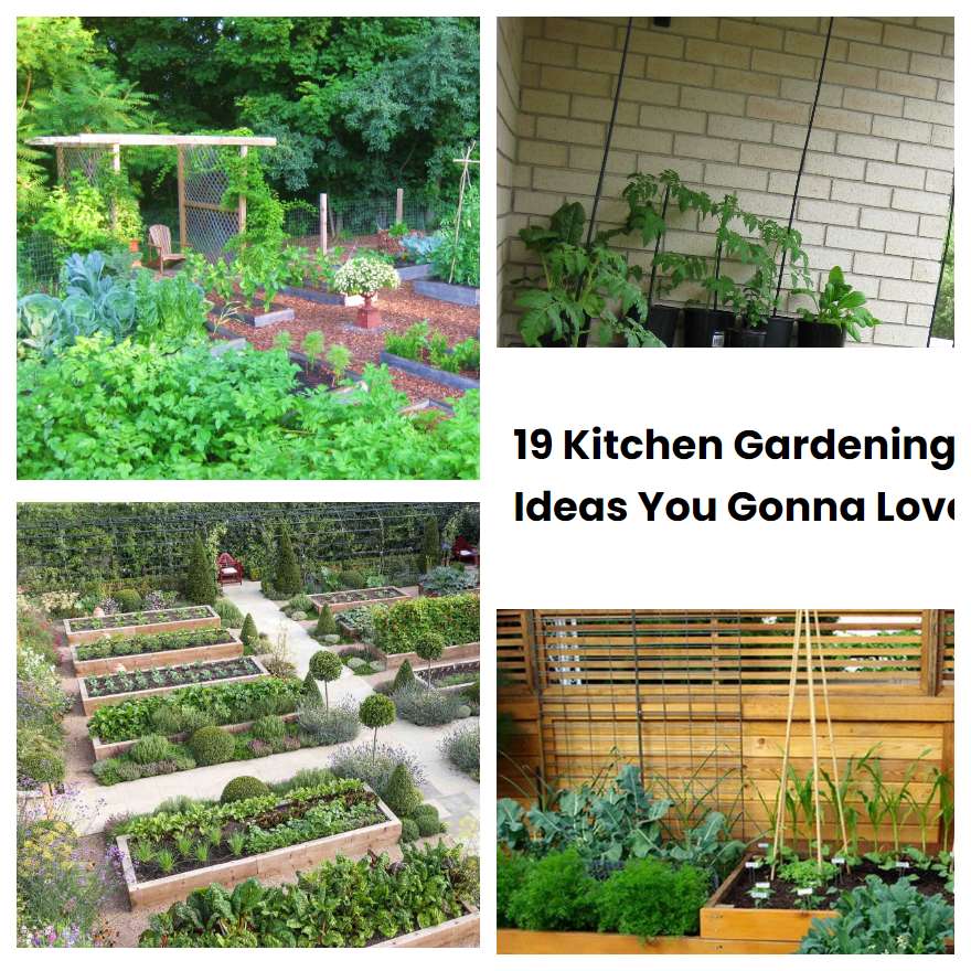 19 Kitchen Gardening Ideas You Gonna Love | SharonSable