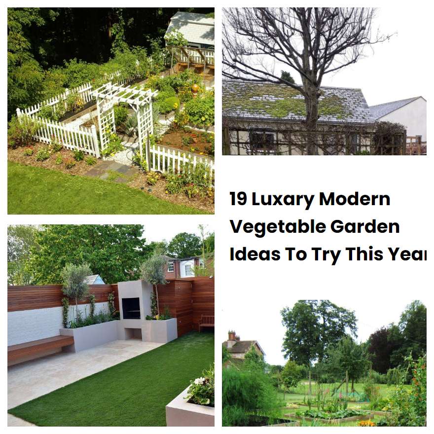 19 Luxary Modern Vegetable Garden Ideas To Try This Year Sharonsable