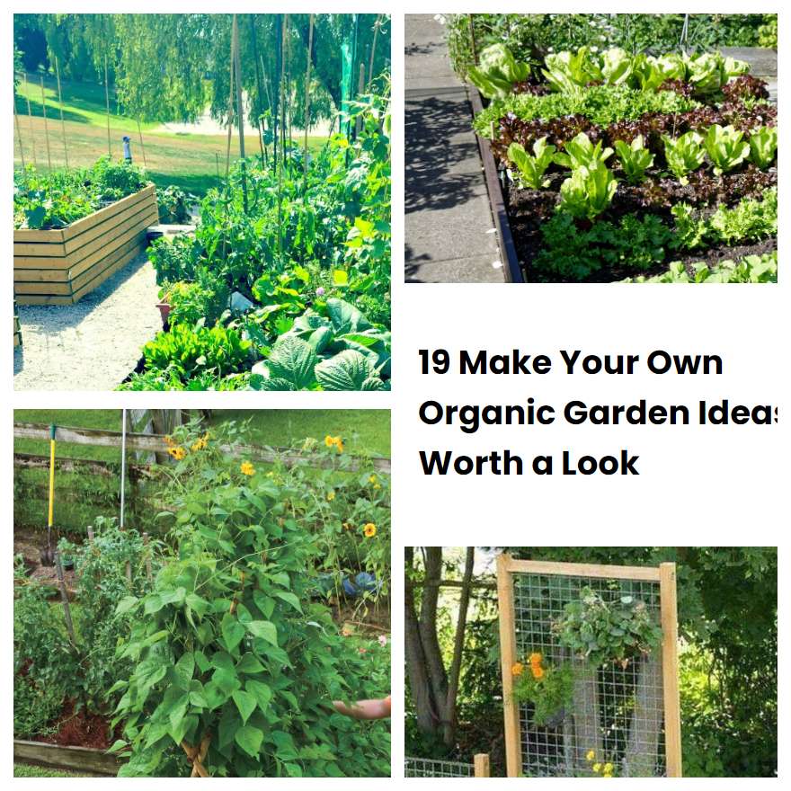 19 Make Your Own Organic Garden Ideas Worth A Look Sharonsable