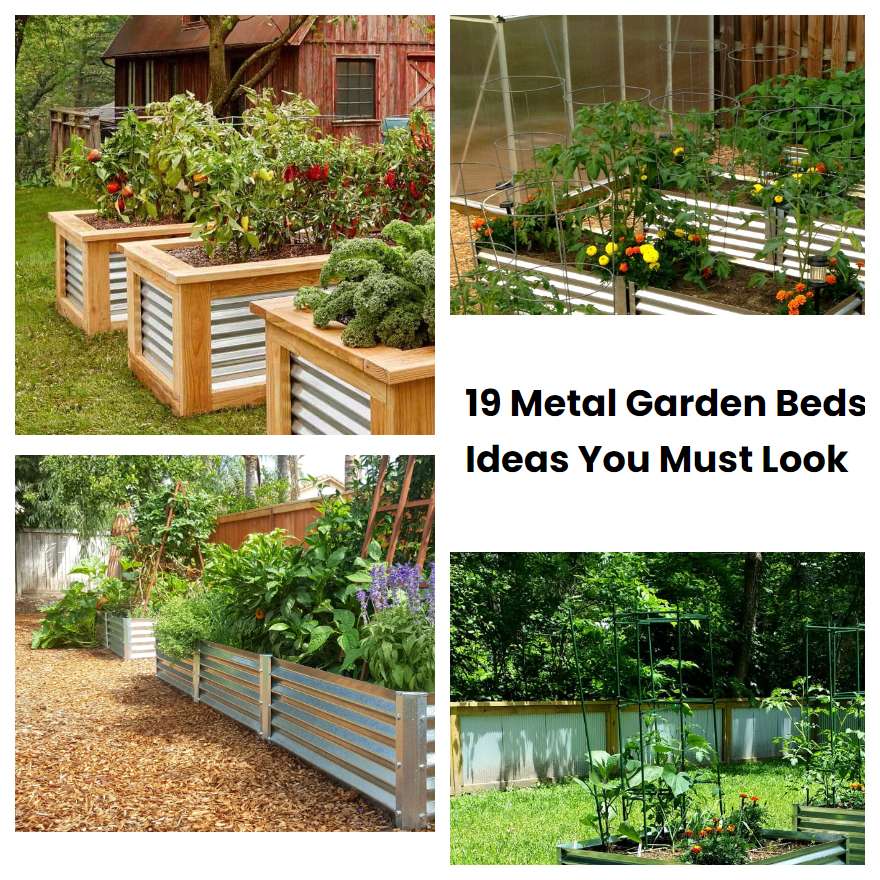 19 Metal Garden Beds Ideas You Must Look Sharonsable