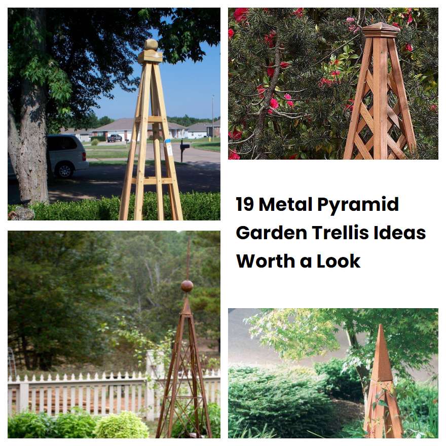 19 Metal Pyramid Garden Trellis Ideas Worth A Look Sharonsable