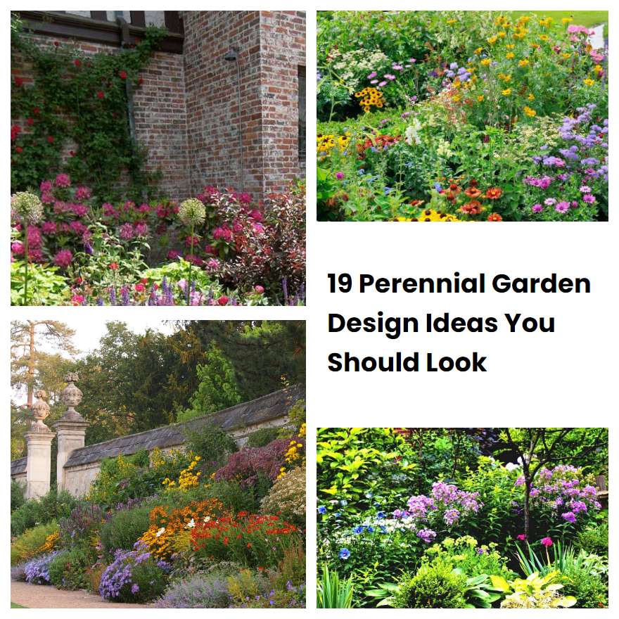 19 Perennial Garden Design Ideas You Should Look | SharonSable