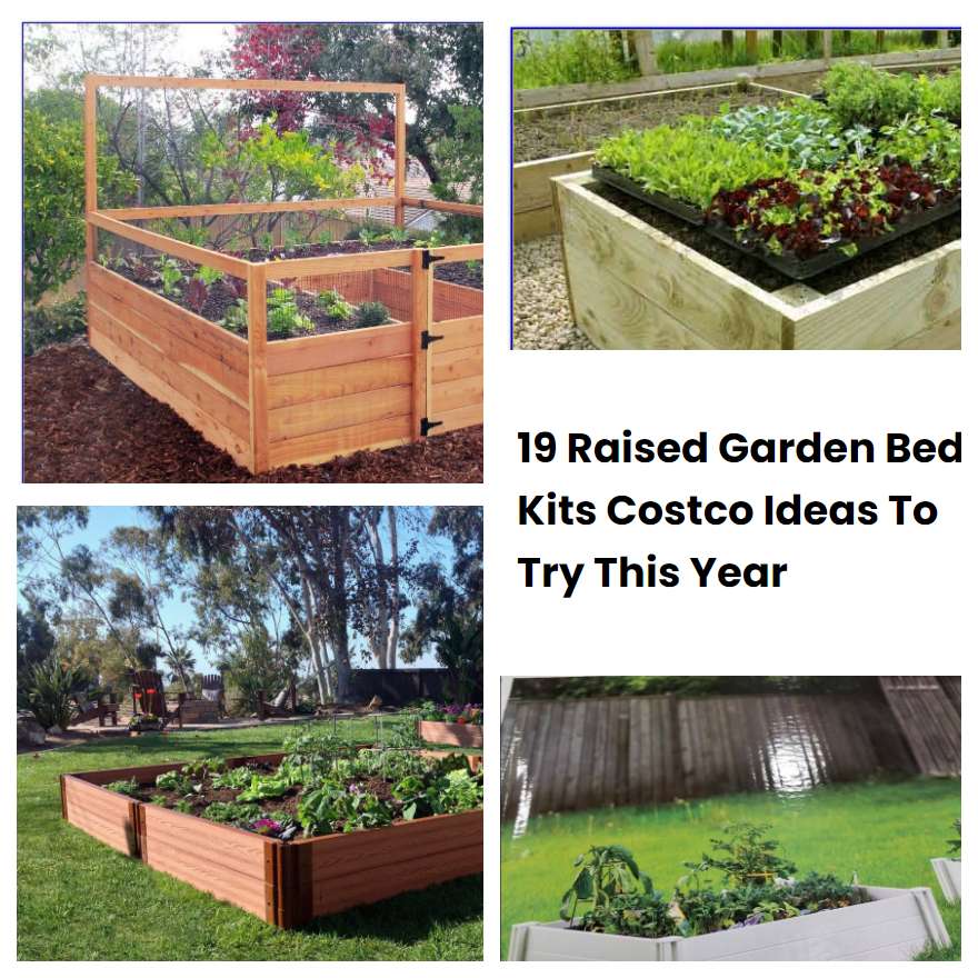 19 Raised Garden Bed Kits Costco Ideas To Try This Year | SharonSable