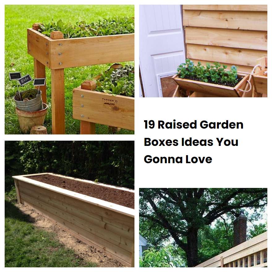 19 Raised Garden Boxes Ideas You Gonna Love | SharonSable