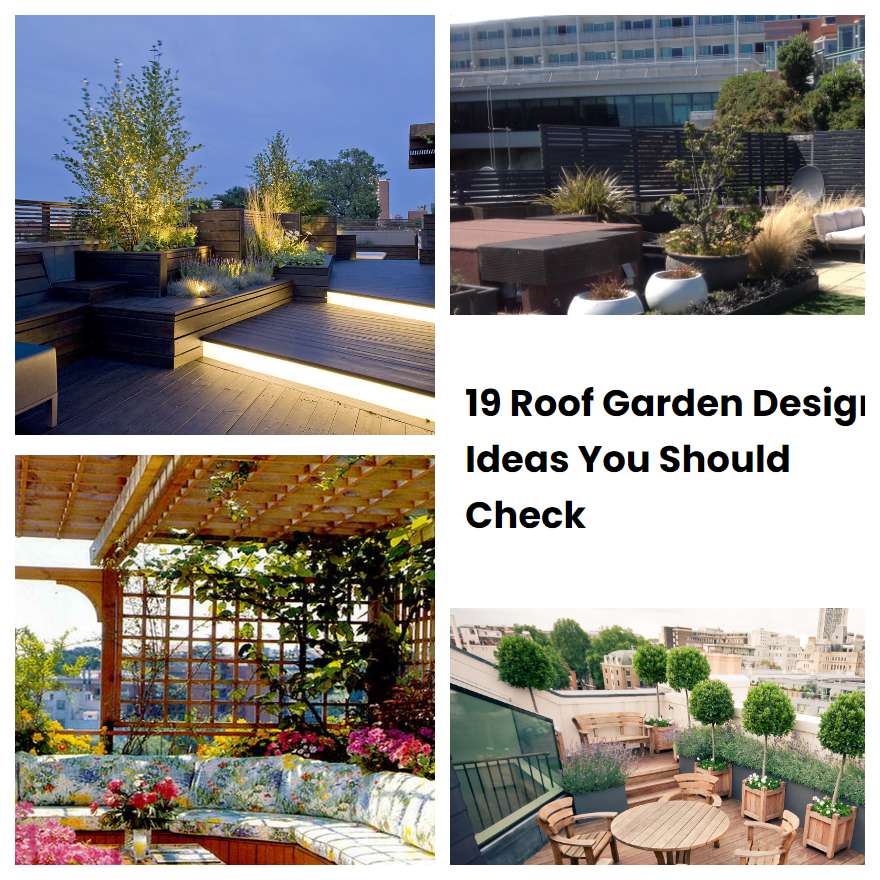 19 Roof Garden Design Ideas You Should Check