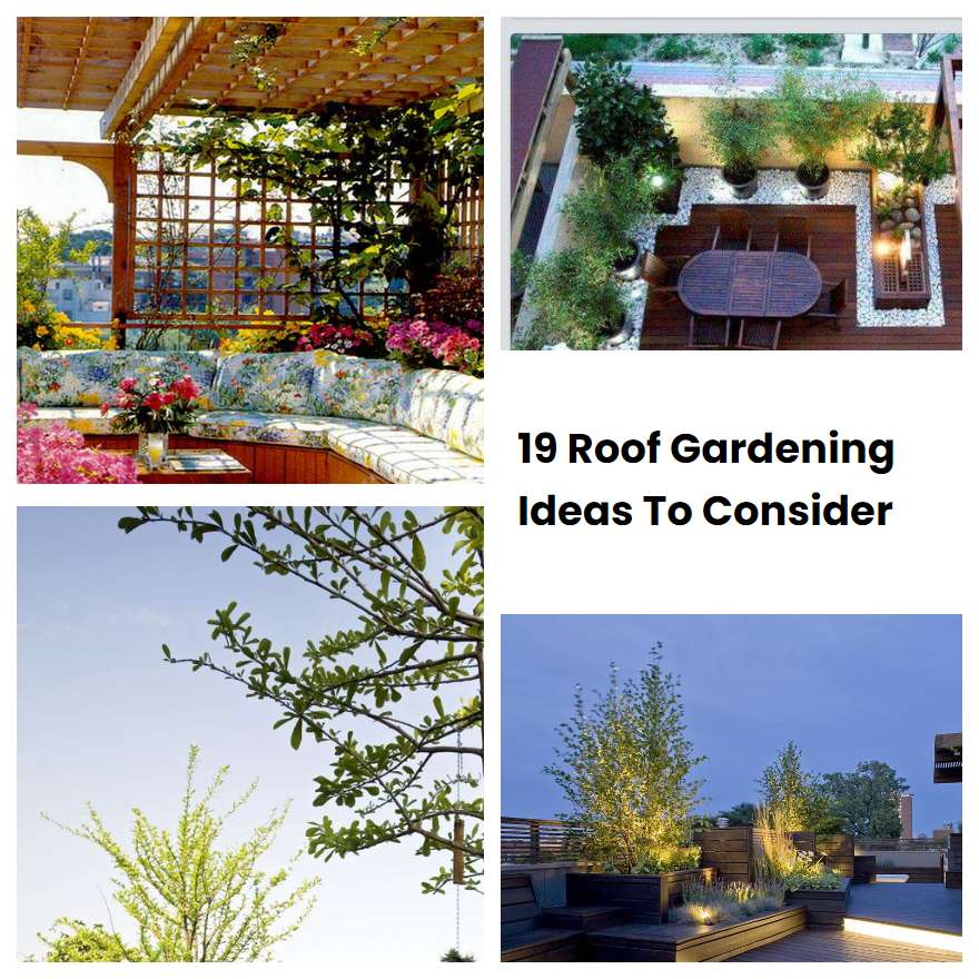 19 Roof Gardening Ideas To Consider | SharonSable