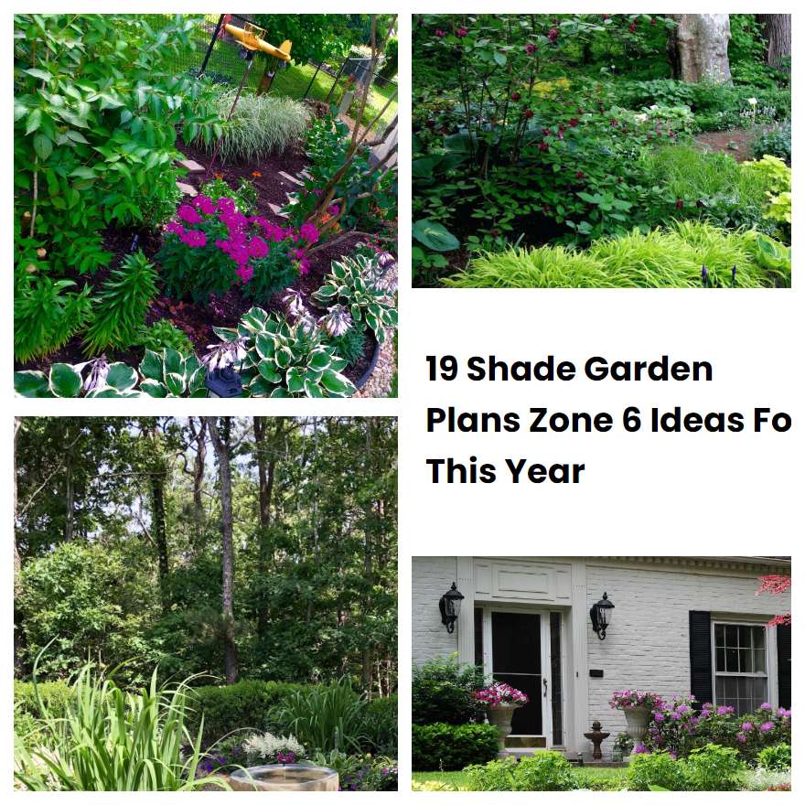 19 Shade Garden Plans Zone 6 Ideas For This Year | SharonSable