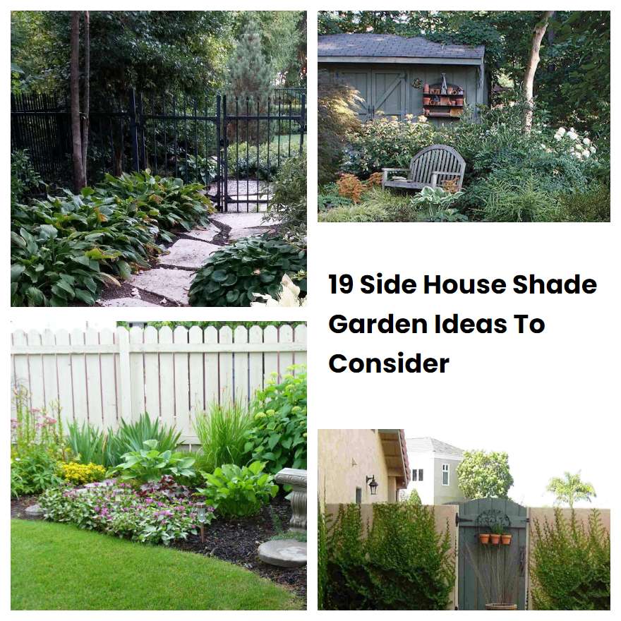 19 Side House Shade Garden Ideas To Consider | SharonSable