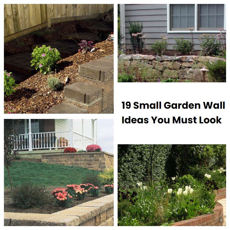 19 Small Garden Wall Ideas You Must Look | SharonSable