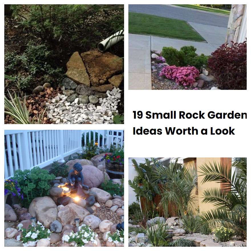 19 Small Rock Garden Ideas Worth a Look | SharonSable