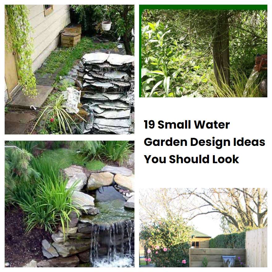 19 Small Water Garden Design Ideas You Should Look | SharonSable