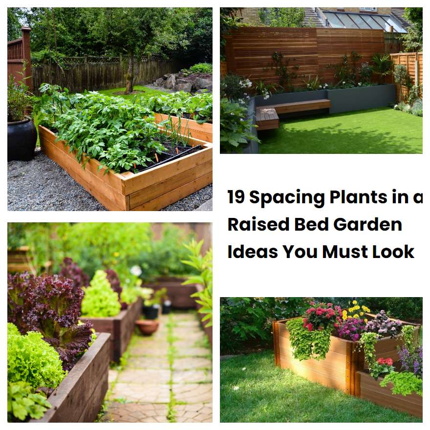 19 Spacing Plants in a Raised Bed Garden Ideas You Must Look | SharonSable