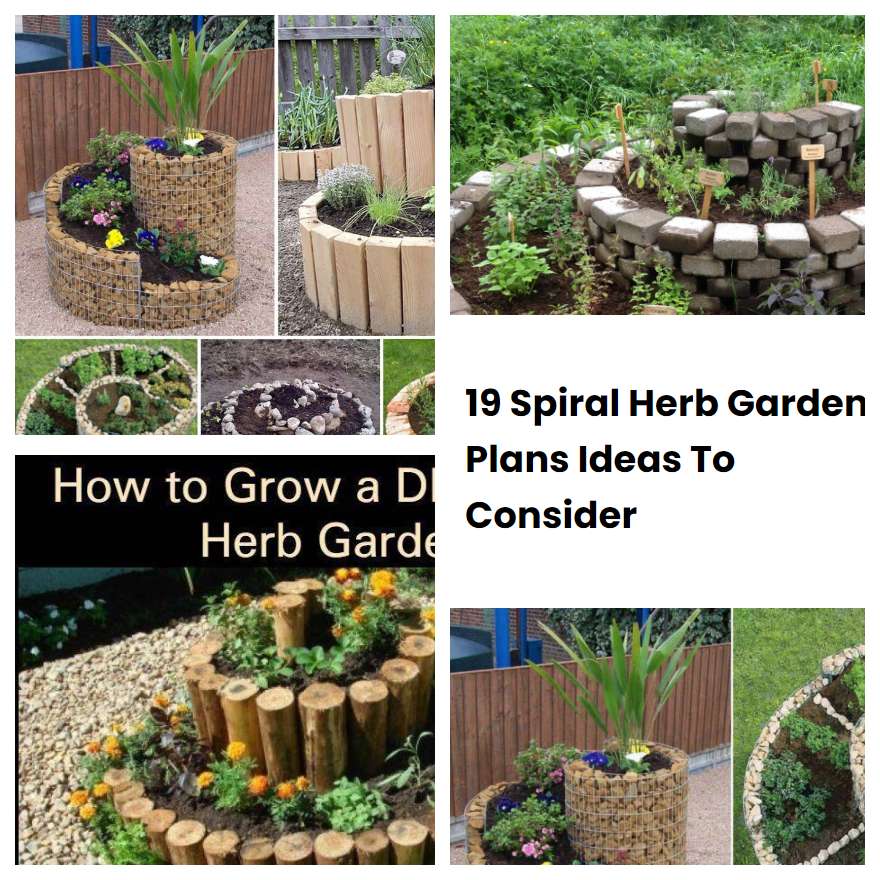 19 Spiral Herb Garden Plans Ideas To Consider | SharonSable