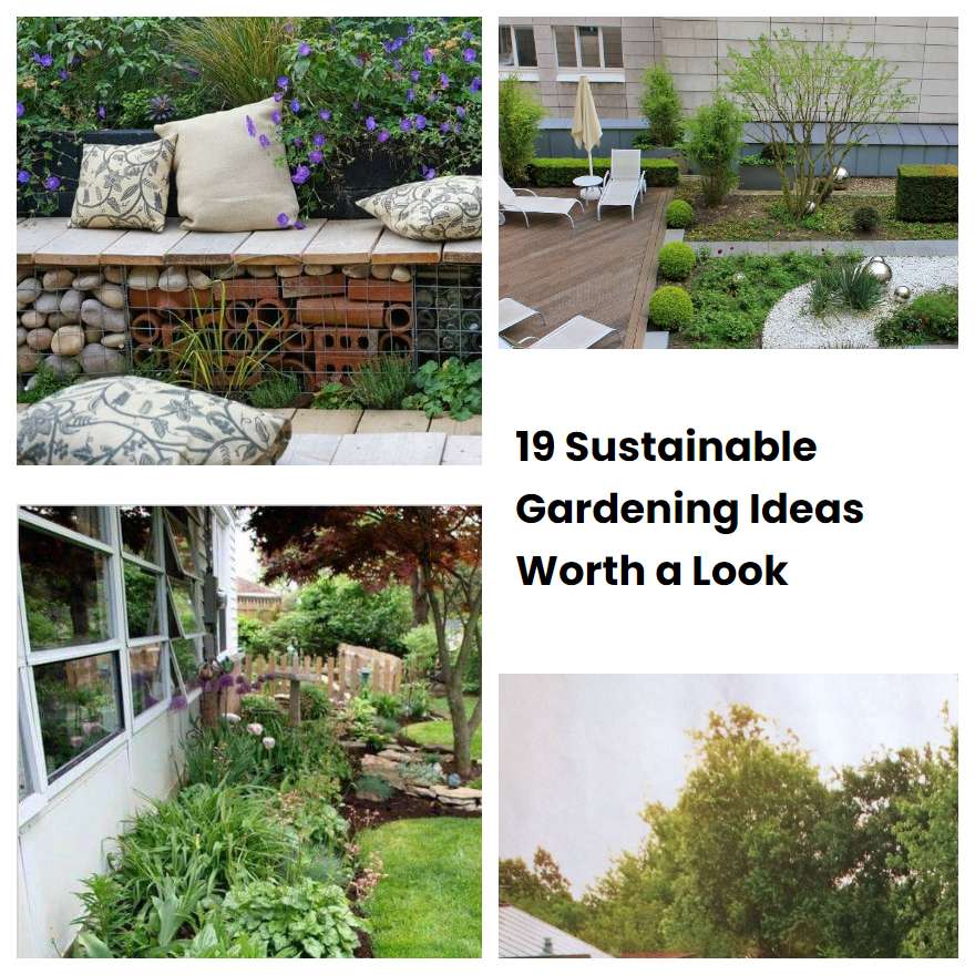 19 Sustainable Gardening Ideas Worth A Look Sharonsable 2963