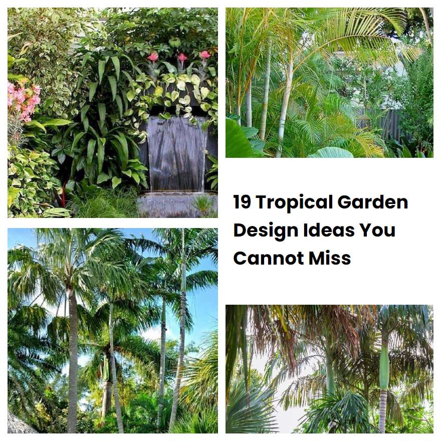 19 Tropical Garden Design Ideas You Cannot Miss | SharonSable