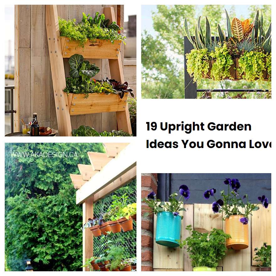 19 Upright Garden Ideas You Gonna Love Sharonsable 4696