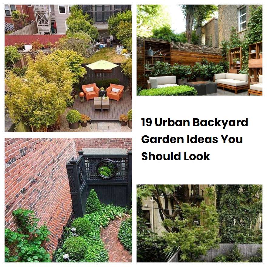 19 Urban Backyard Garden Ideas You Should Look | SharonSable