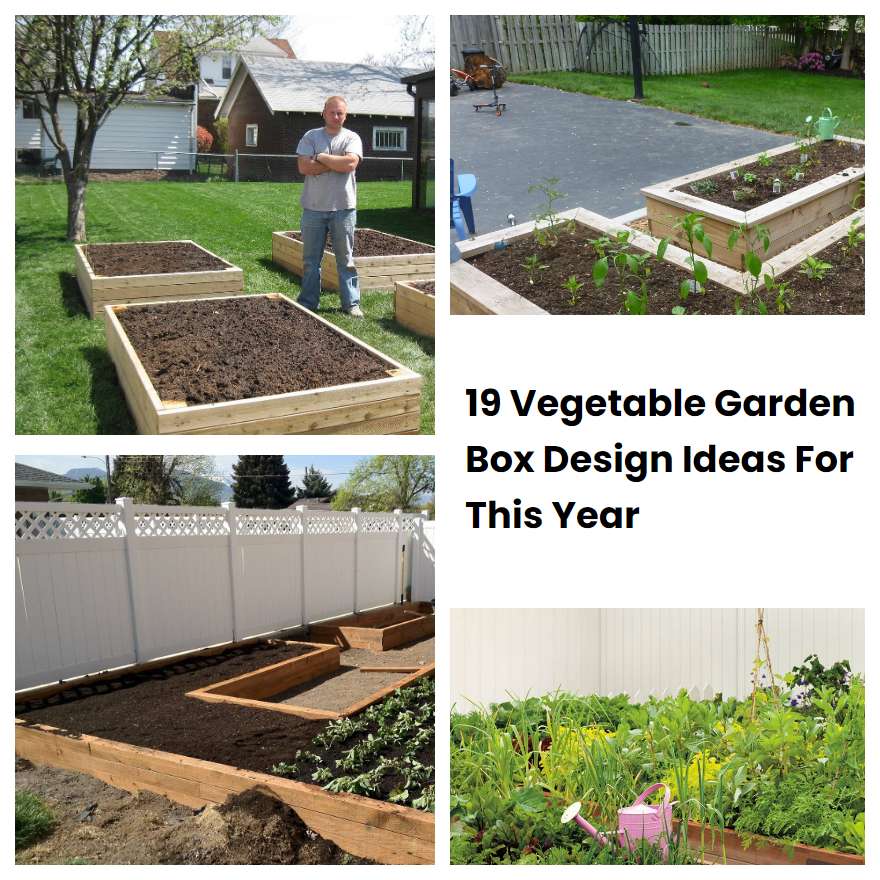 19 Vegetable Garden Box Design Ideas For This Year | SharonSable