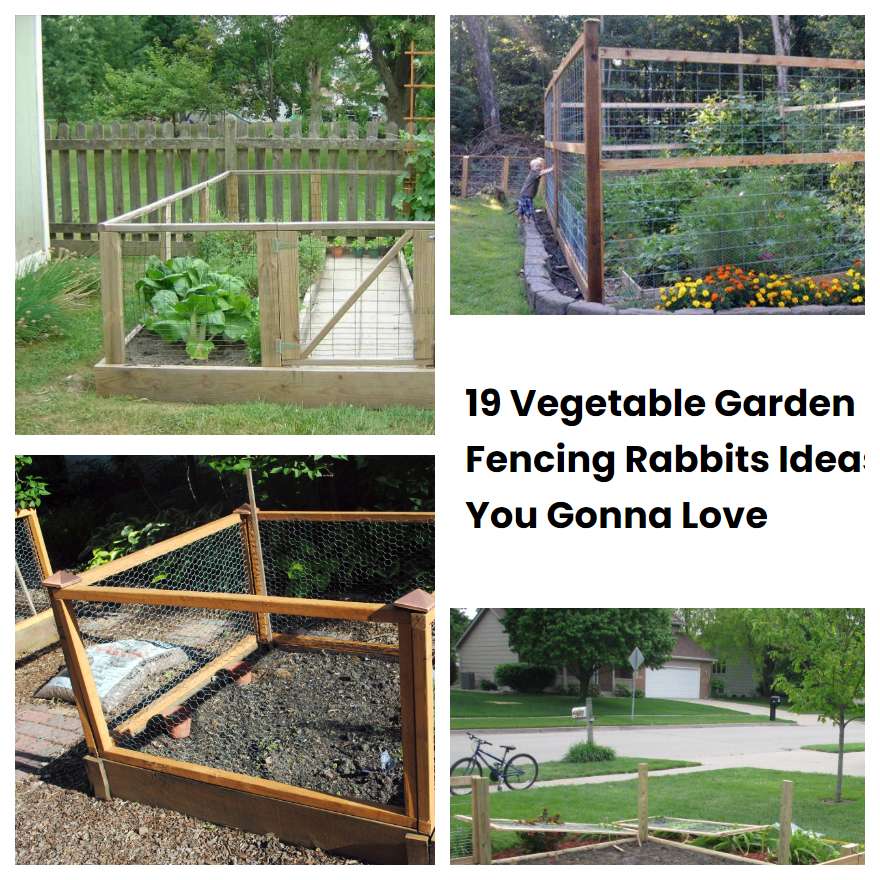 19 Vegetable Garden Fencing Rabbits Ideas You Gonna Love | SharonSable